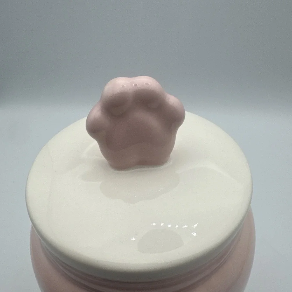 Rare Rae Dunn Blush Pink 